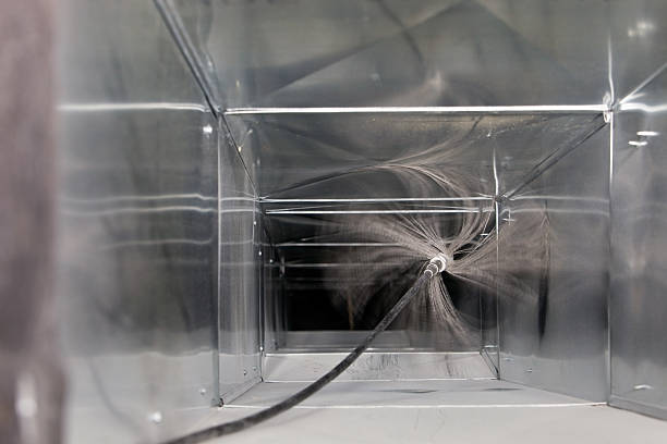 Best Air Duct Mold Removal  in Lton, IN