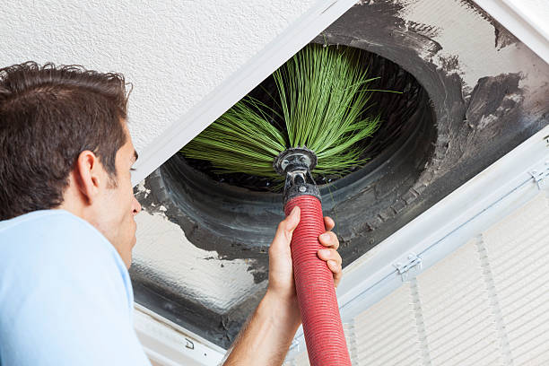 Best Professional Duct Cleaning Services  in Lton, IN