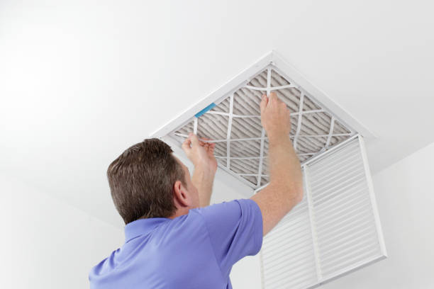 Best Professional Duct Cleaning Services  in Lton, IN